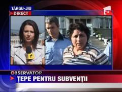 Tepe pentru subventii