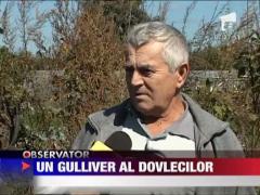 Dovleac urias in Arges