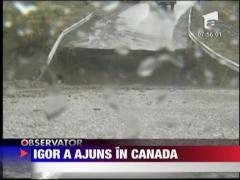 Uraganul Igor a ajuns in Canada