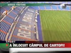 A inlocuit campul de cartofi!