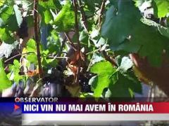 Nici vin nu mai avem in Romania