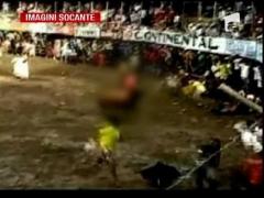 IMAGINI SOCANTE! Rapusi de tauri