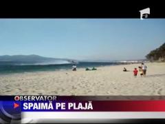 Spaima pe plaja