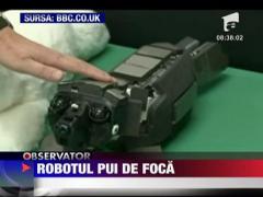 Robotul pui de foca