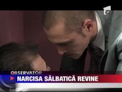 Narcisa Salbatica revine