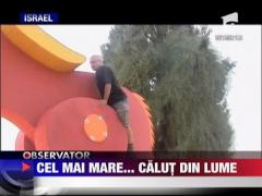 Cel mai mare calut din lume