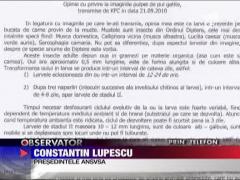 Suspiciuni infirmate in cazul "viermi la fast-food"