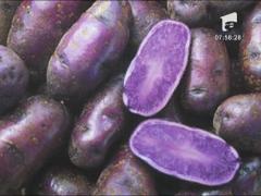 Cartofii mov