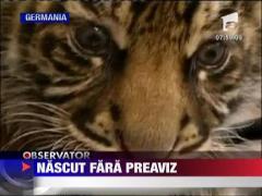 Sarbatoare mare la o gradina zoologica din Frankfurt