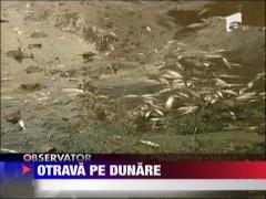Otrava in Dunare