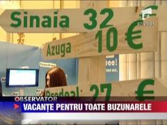 Vacante pentru toate buzunarele