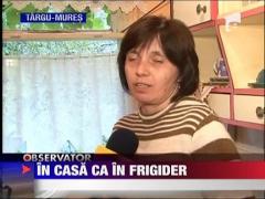 In apartament ca in frigider