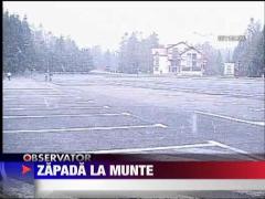 A nins in Poiana Brasov