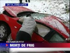 Morti de frig