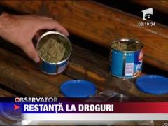 Restanta la droguri