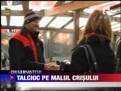 Talcioc pe malul Crisului