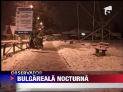 Bulgareala nocturna