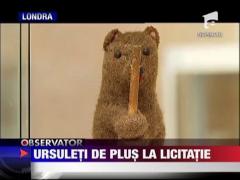Ursuleti de plus la licitatie