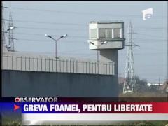 Greva foamei, pentru libertate