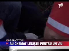 Au chemat legistii pentru un viu