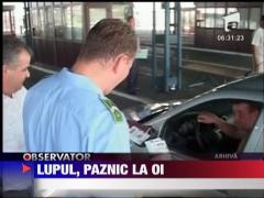 Vamesi retinuti de DIICOt in Brasov