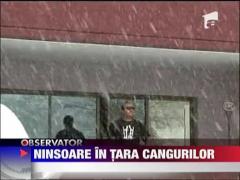 Ninsoare in tara cangurilor