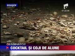 Cocktail si coji de alune