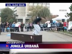 Jungla urbana