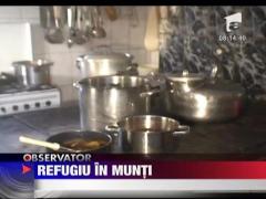 Refugiu in munti