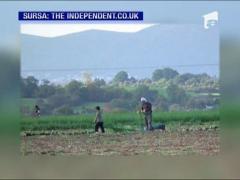 Copii romani, sclavi in Anglia