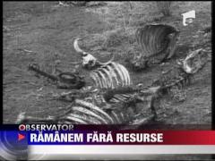 Ramanem fara resurse pe Terra