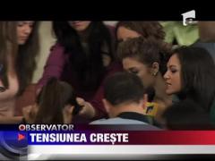 Creste tensiunea la Narcisa Salbatica