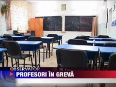 Profesori in greva