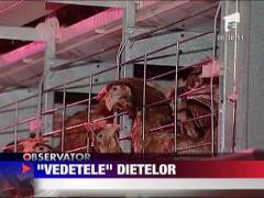 Felicia: Diete pentru sanatate