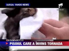 Pisoiul care a invins tornada