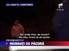 Inundati cu pacura