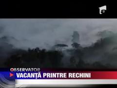 Mazare,  vacanta printre rechini si bastinasi