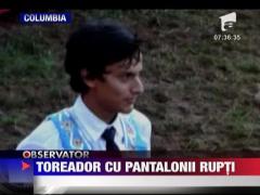 Toreador lasat fara pantaloni de taur