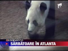 Sarbatoare in Atlanta