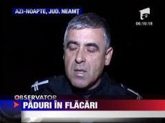 Padure in flacari in Neamt