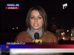 Talhari liberi si periculosi