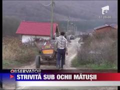 Strivita sub ochii matusii