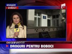 Droguri pentru boboci