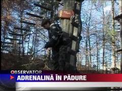Adrenalina in padure