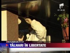 Talhari in libertate