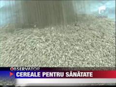 Felicia: Cerealele cu lapte pentru sanatate
