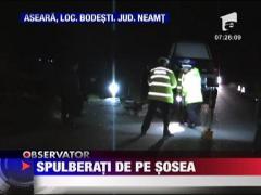 Caruta spulberata de un microbuz in judetul Neamt