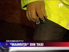 "Maimuta" din taxi