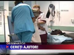 Statistica violenta domestica