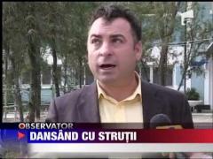 Dansand cu strutii